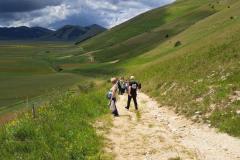 Giugno 2024 Castelluccio di Norcia